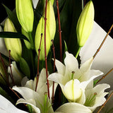 This cut flower bouquet is simply beautiful, a modern composure of stylish white oriental lilies dressed in firm and elegant white paper.
