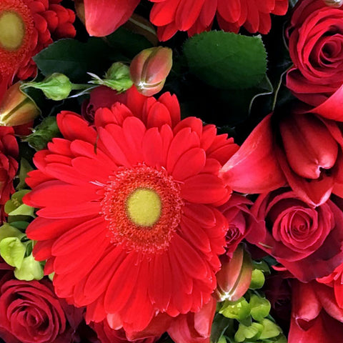 A fiery bouquet of red gerbera's, roses and lily's dressed in a romantic woven cloak of crimson will make any heart skip a beat.