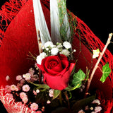 Single beautifully wrapped red rose is garnished with greenery and a light spray. 